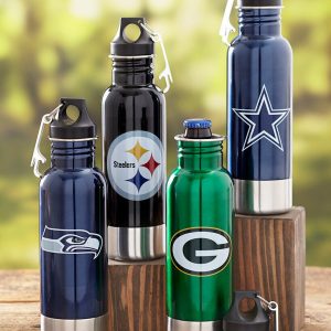Baltimore Ravens NFL Stainless Bottle Chiller