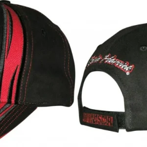 Kevin Harvick 2011 CFS #29 Budweiser Speedway Hat