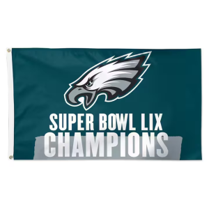 Philadelphia Eagles NFL Super Bowl LIX Champions 3x5 Banner Flag