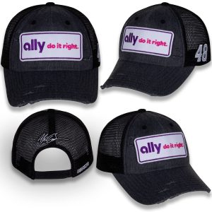 Alex Bowman 2023 Checkered Flag Sports #48 Ally Vintage Patch Hat