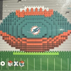 Miami Dolphins Football Puzzle – Official NFL BRXLZ 3D Set